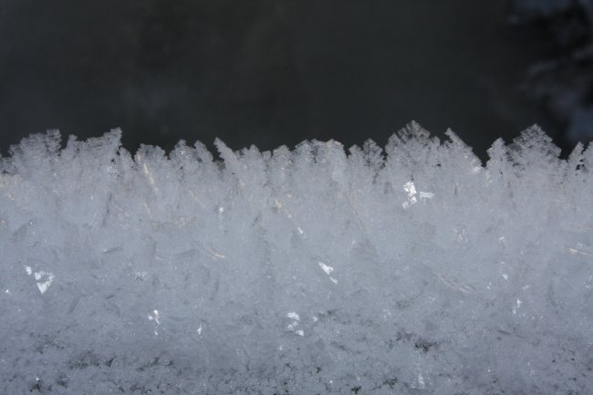 Winter 13.01.09 028.jpg